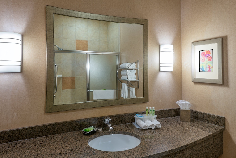 Holiday Inn Express Hotel & Suites Vernal - Dinosaurland 40/77