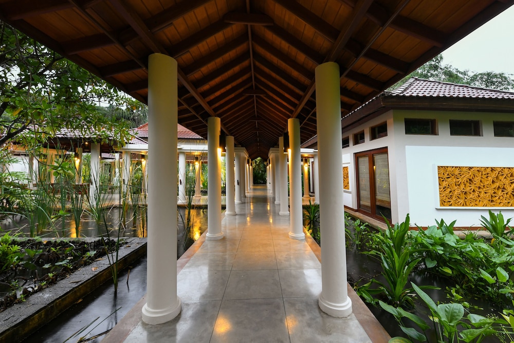 Serene Pavillion 45/50