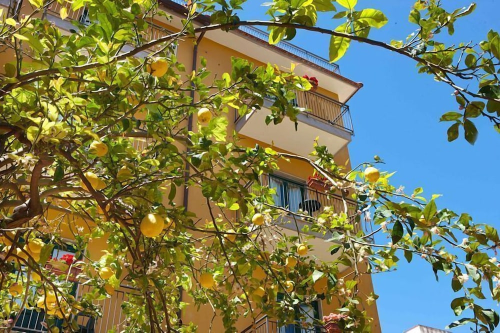道夫索伦托酒店(Hotel Astoria Sorrento) 图片5