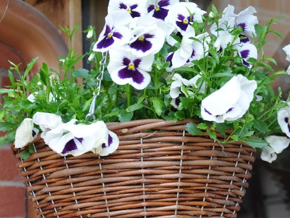 The Hayloft B&B 8/9