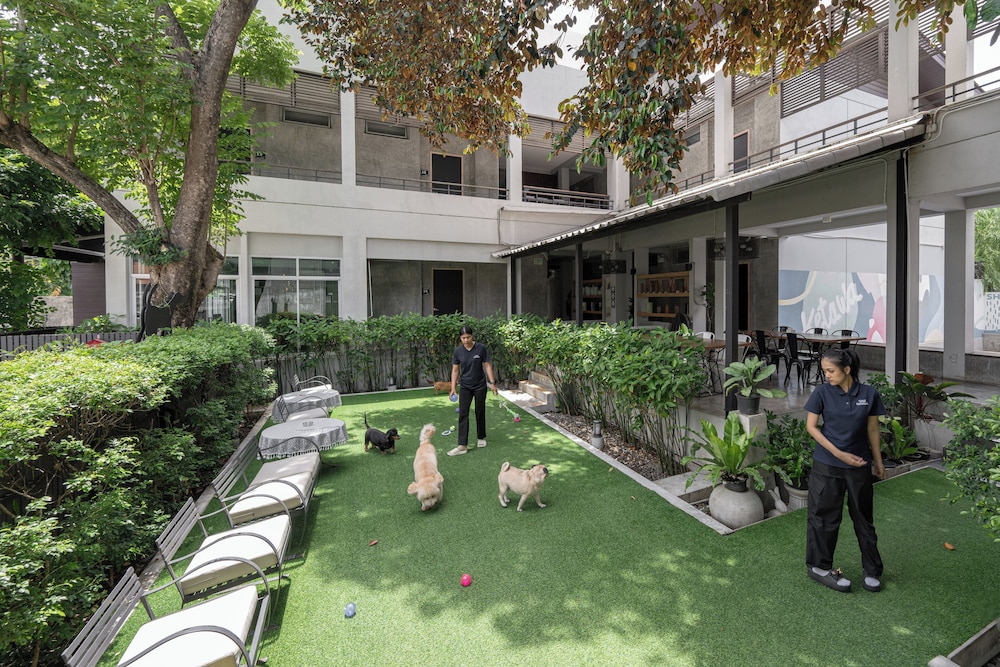 Ketawa Pet Friendly Hotel and Cafe (ex Ketawa Stylish Hotel) 36/43