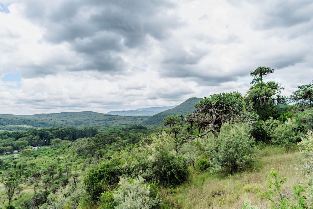 Naivasha Kongoni Lodge 43/50