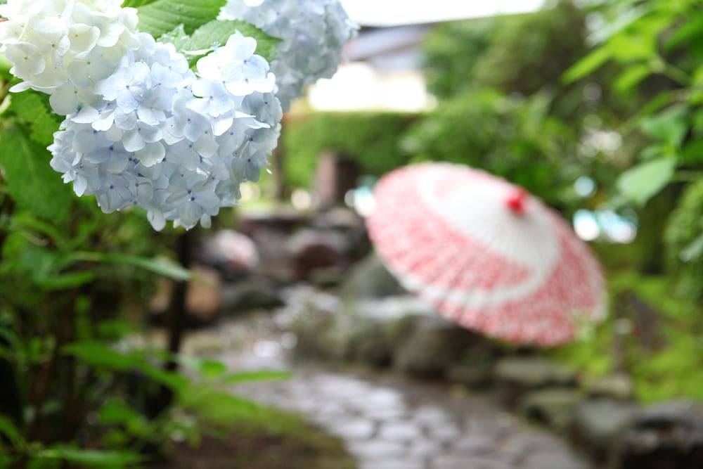 Hoshino Resorts Kai Ito 16/41