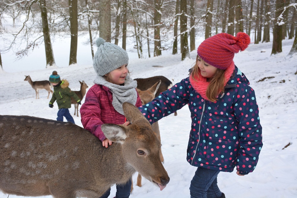 Natur-Resort Tripsdrill 50/50