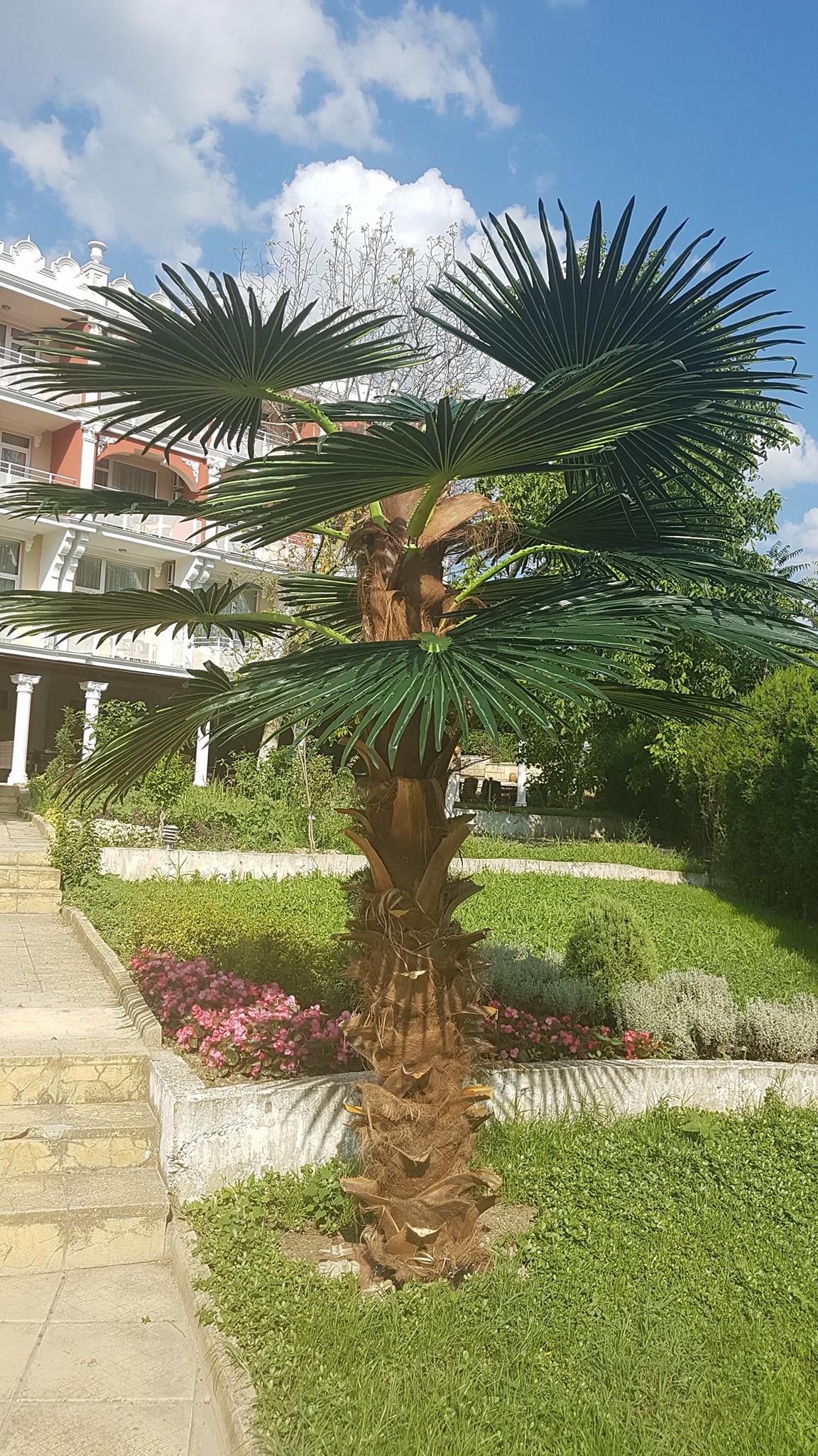 Hotel Elit Palace and Spa 36/40