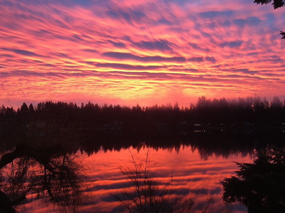 Cottage Lake Bed And Breakfast 26/50