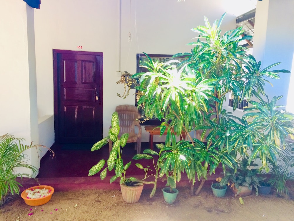 Tropicana Homestay 3/37
