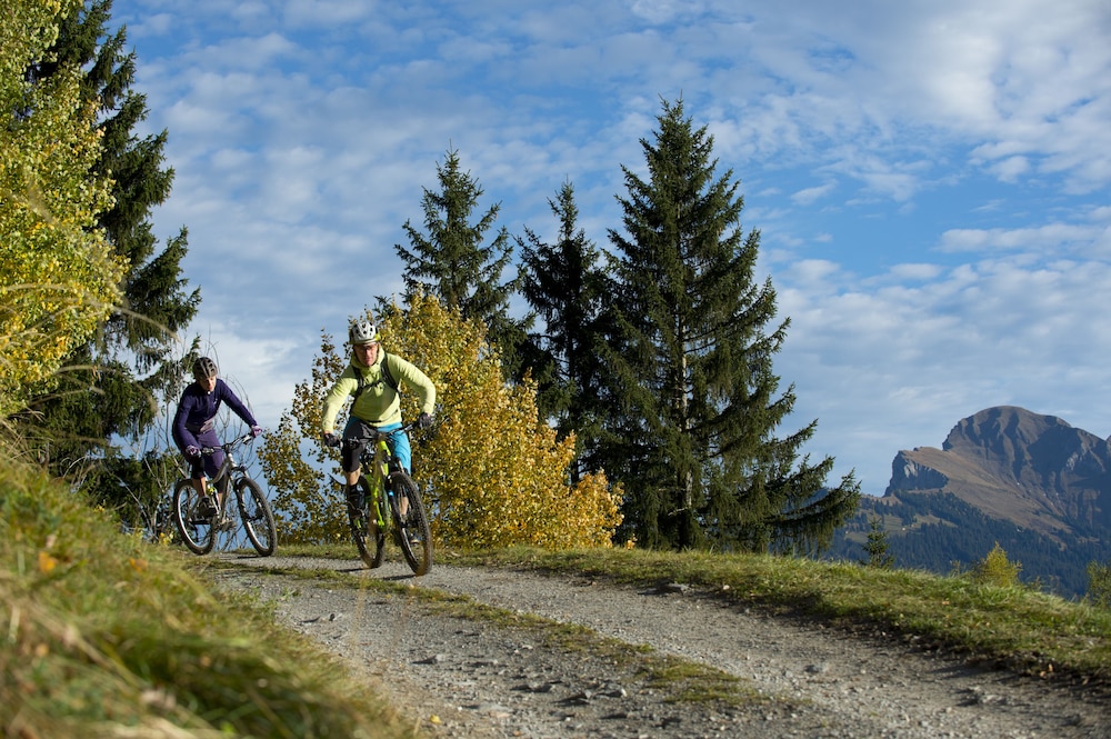 Sunstar Alpine Hotel Lenzerheide 58/62