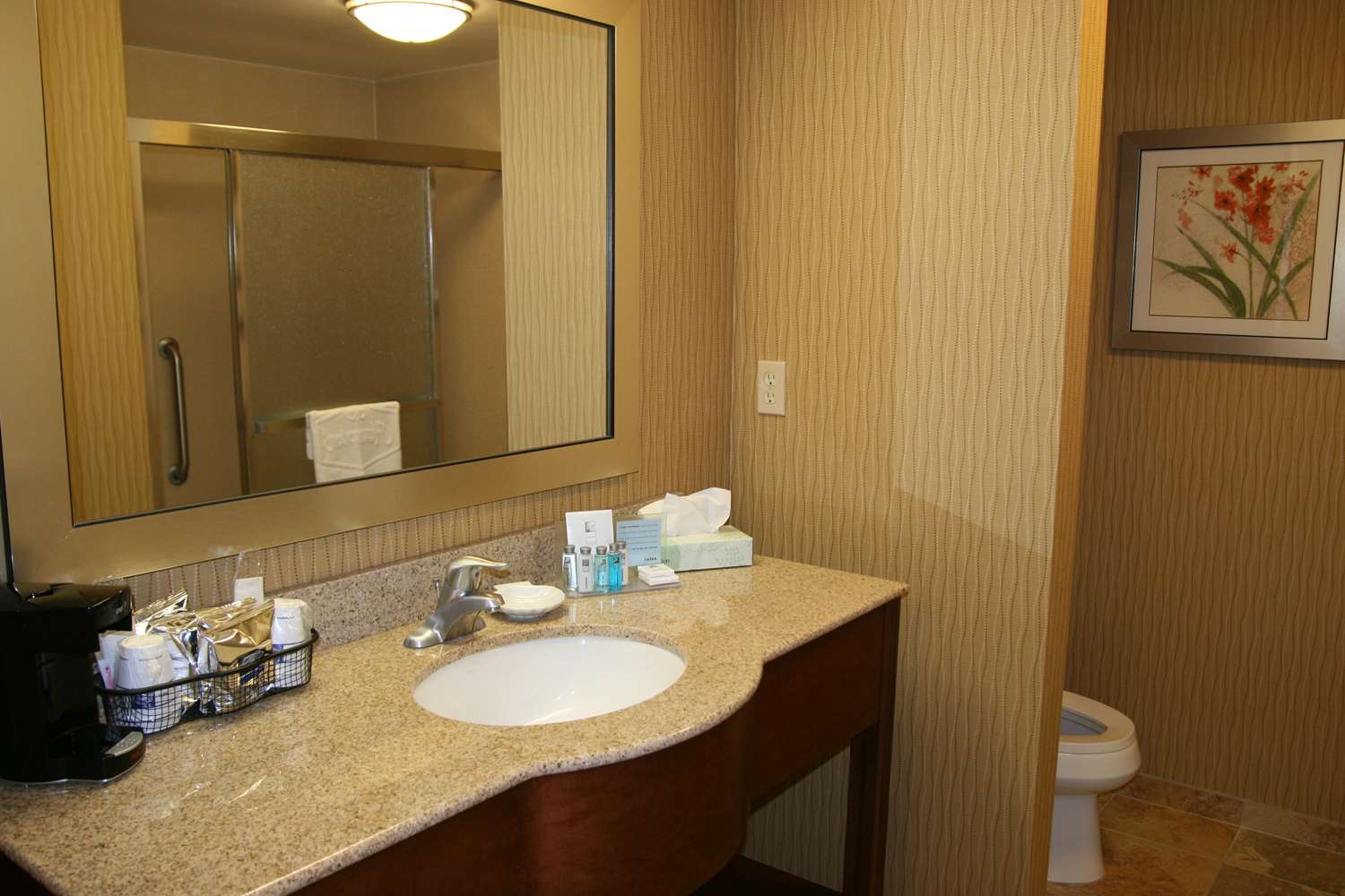 Hampton Inn Suites Exmore Eastern Shore 38/42