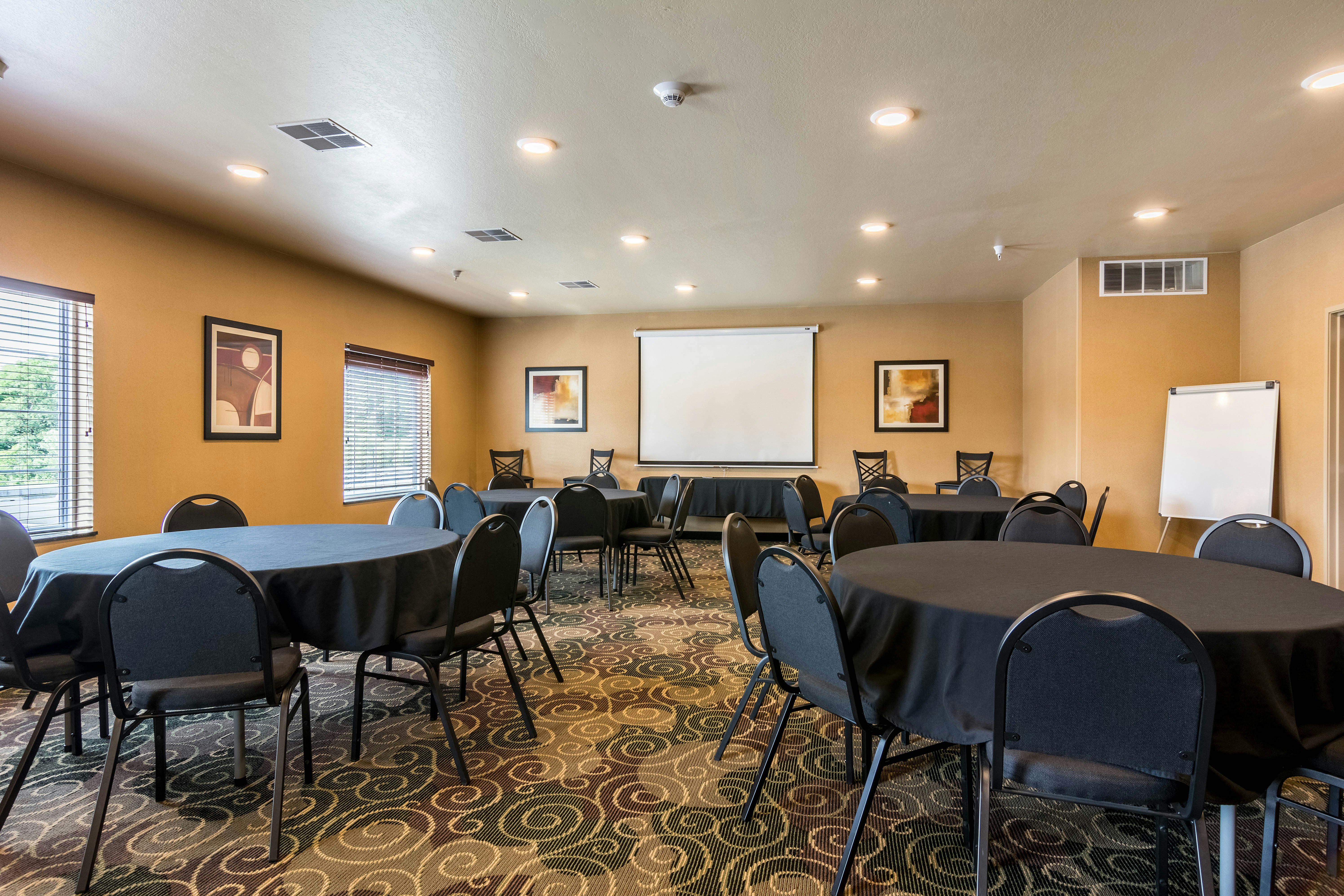 Cobblestone Hotel And Suites Harborcreek 44/53