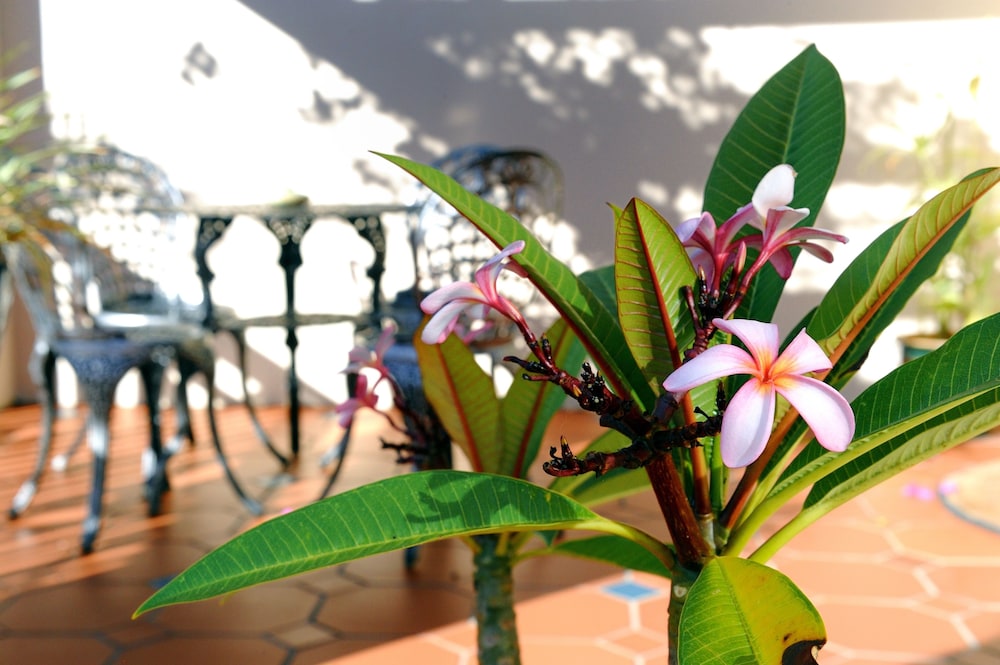 Bayside Guest House 35/50
