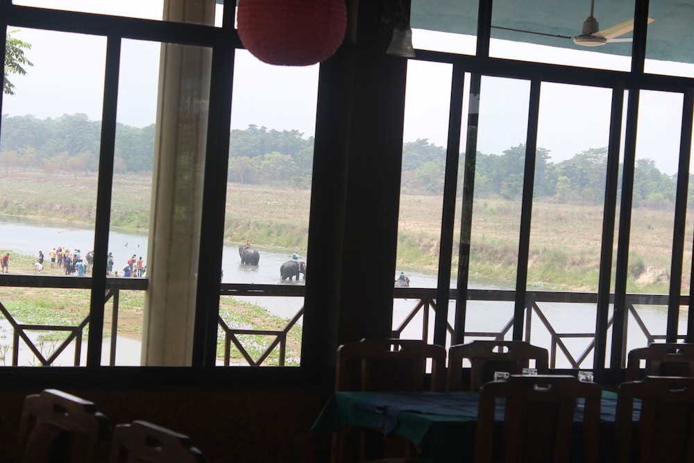 Jungle Wildlife Camp 20/41