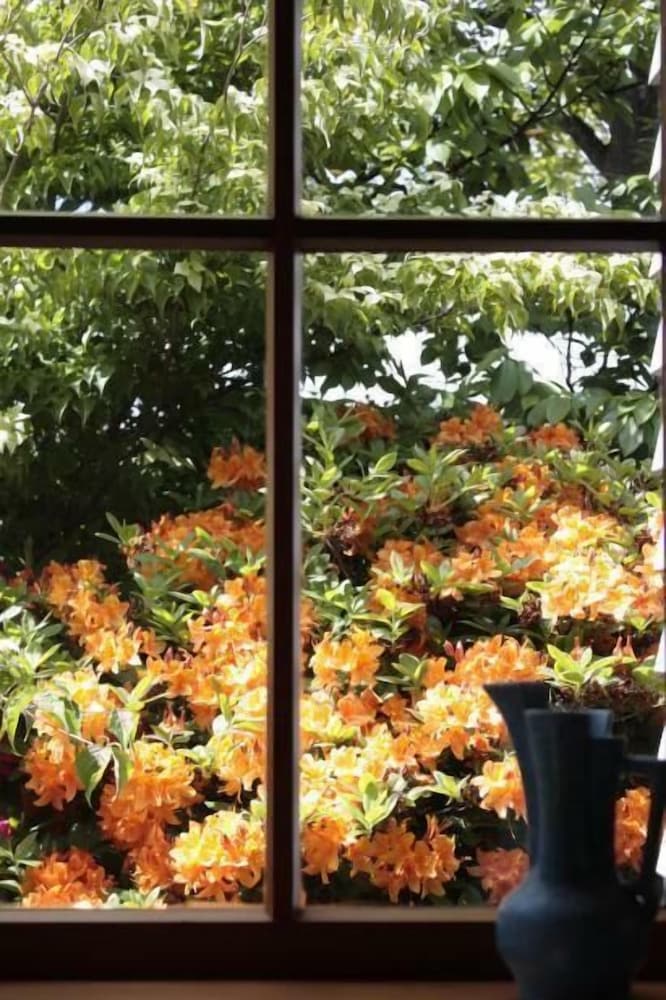 Arrowtown House Boutique Hotel 15/50