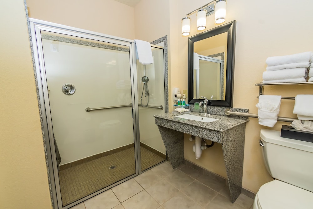 Holiday Inn Express & Suites Houston Space Ctr - Clear Lake 48/50