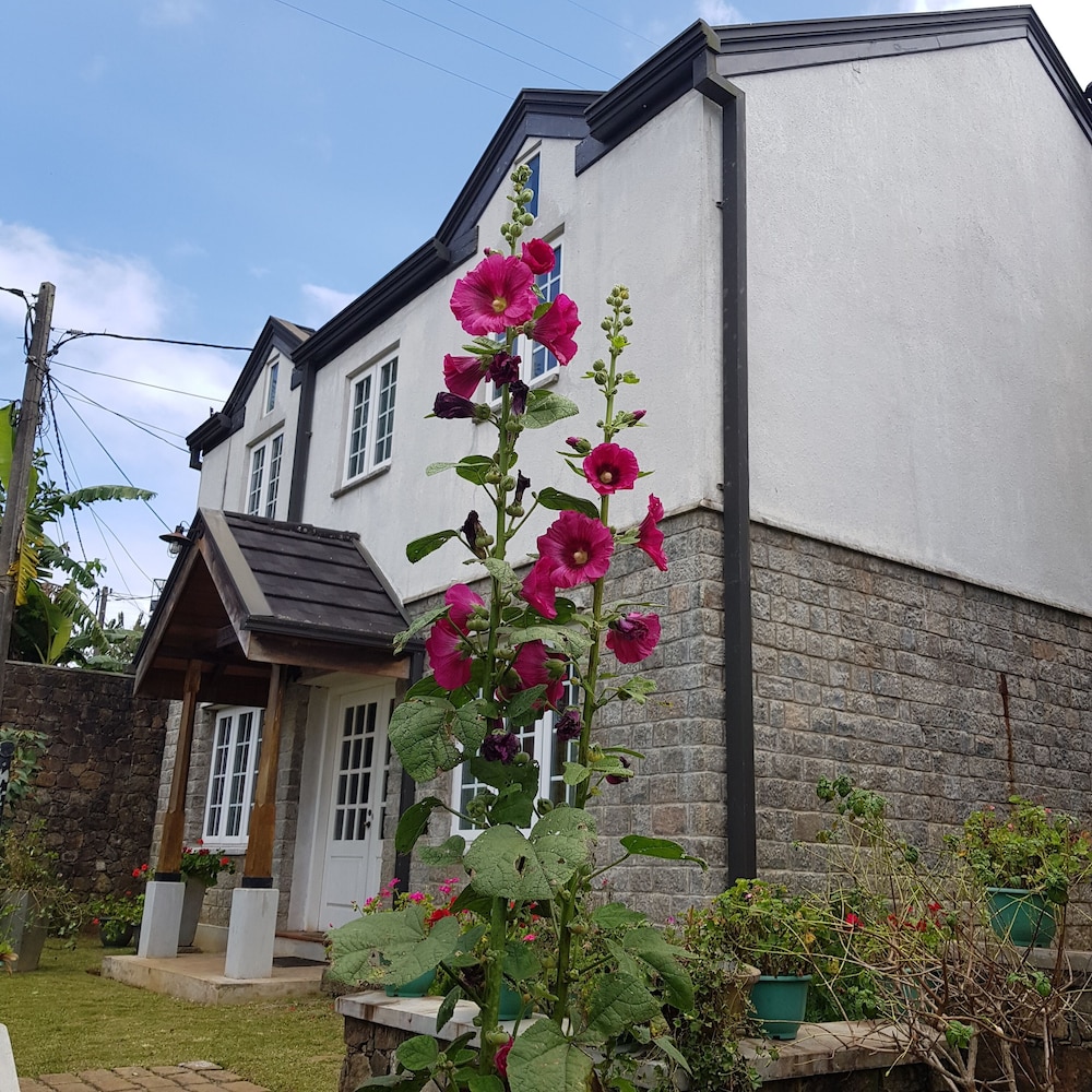 Scottish Cottages By Fairway 5/50