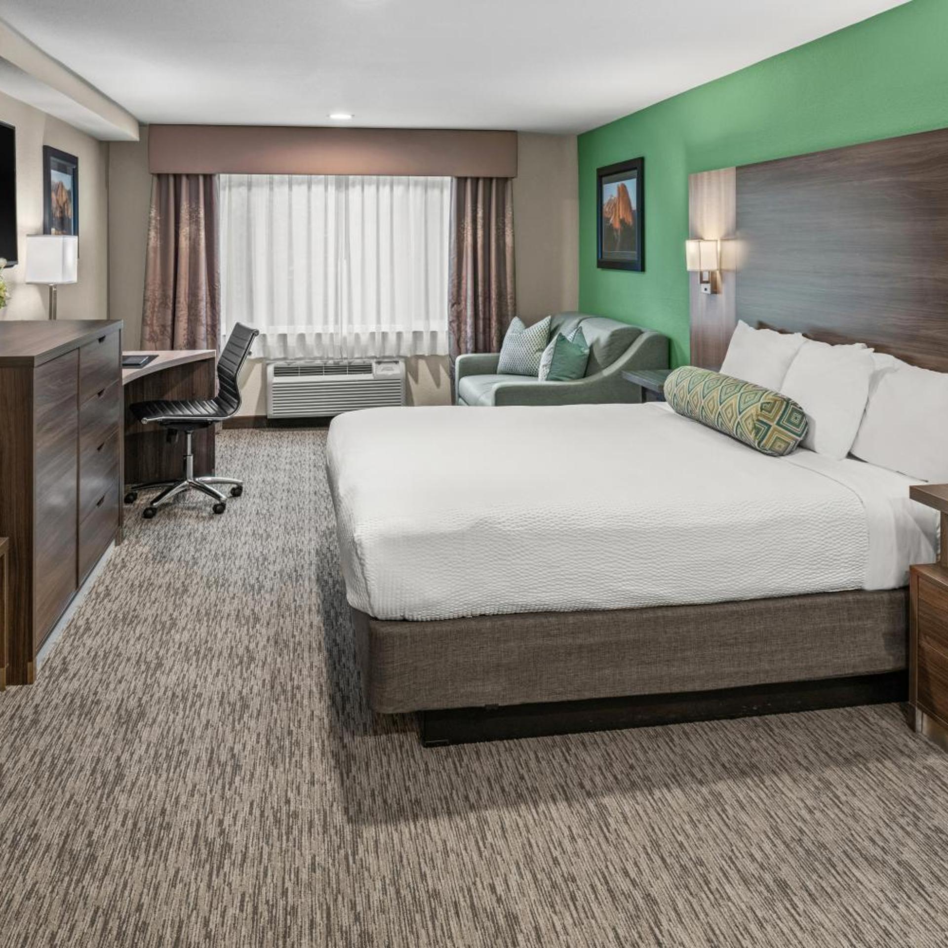 Mini, Suite, King Bed