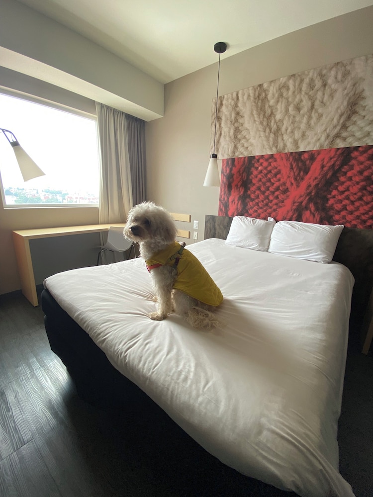 Ibis Mexico Tlalnepantla 12/50