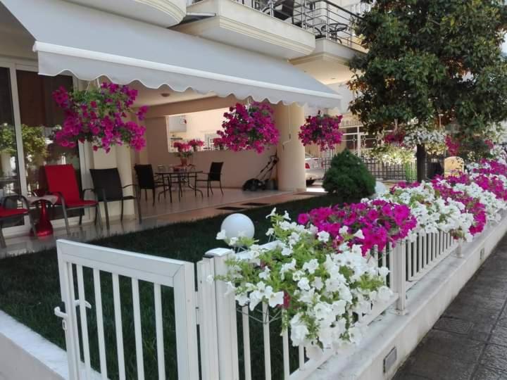 Christina Hotel 6/50