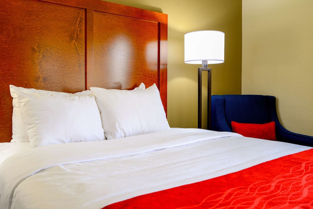 Comfort Inn University Durham Chapel Hill Formerly Comfort Inn University 16/32