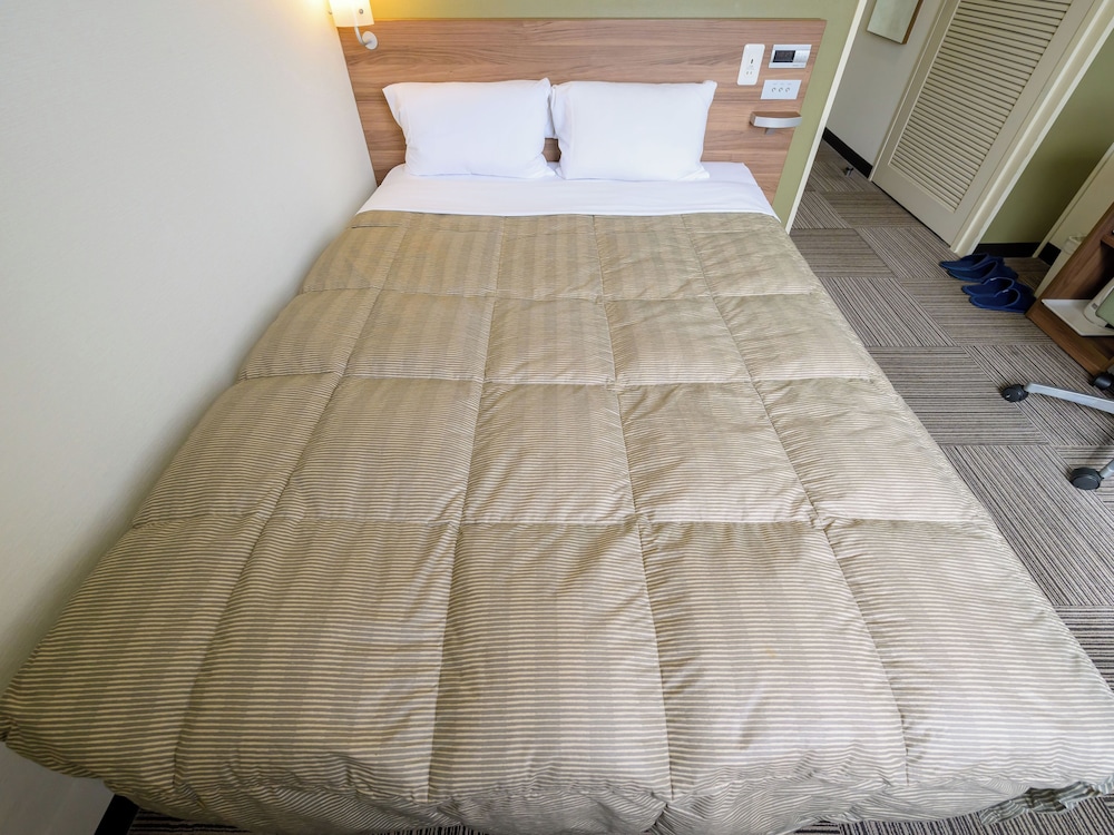 Hotel Econo Fukui Ekimae 50/50