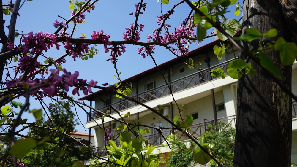 Morfeas Hotel 2/50