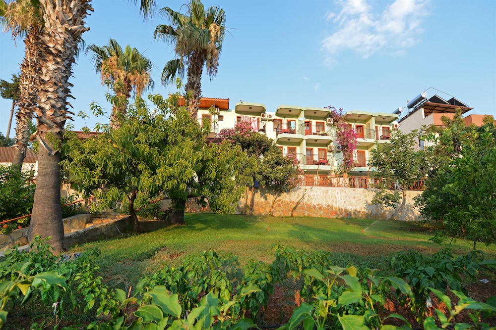 Patara Delfin Hotel 54/61
