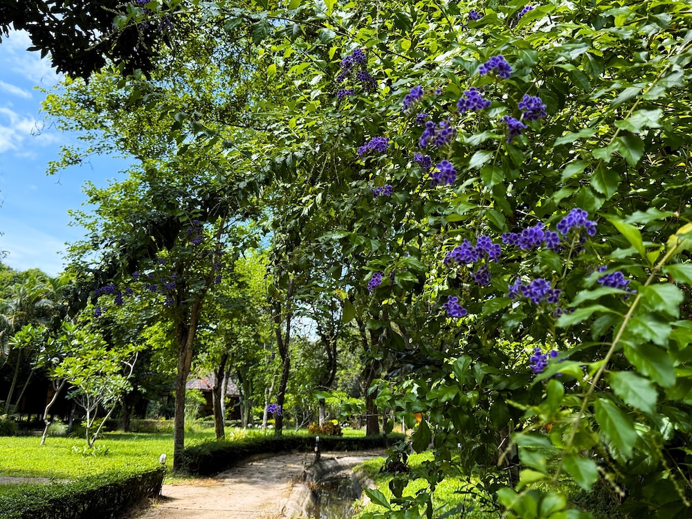 Baan Krating Pai Resort 54/67