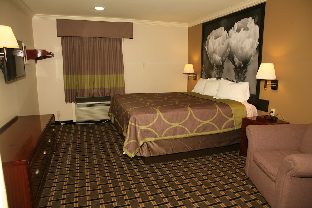 Suite, King Bed