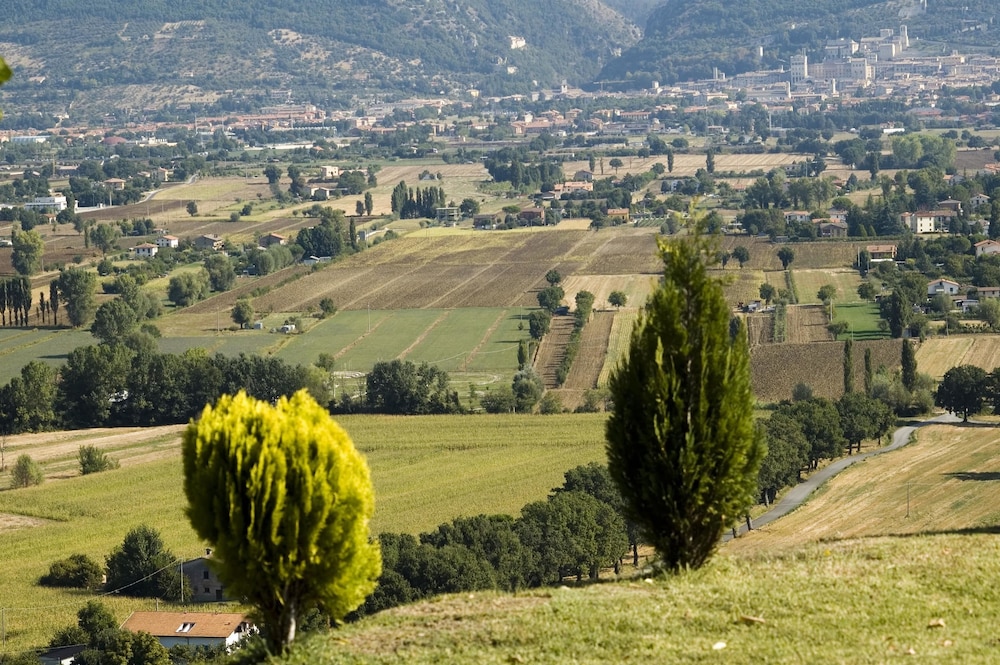 Azienda Agraria Montelujano 18/35