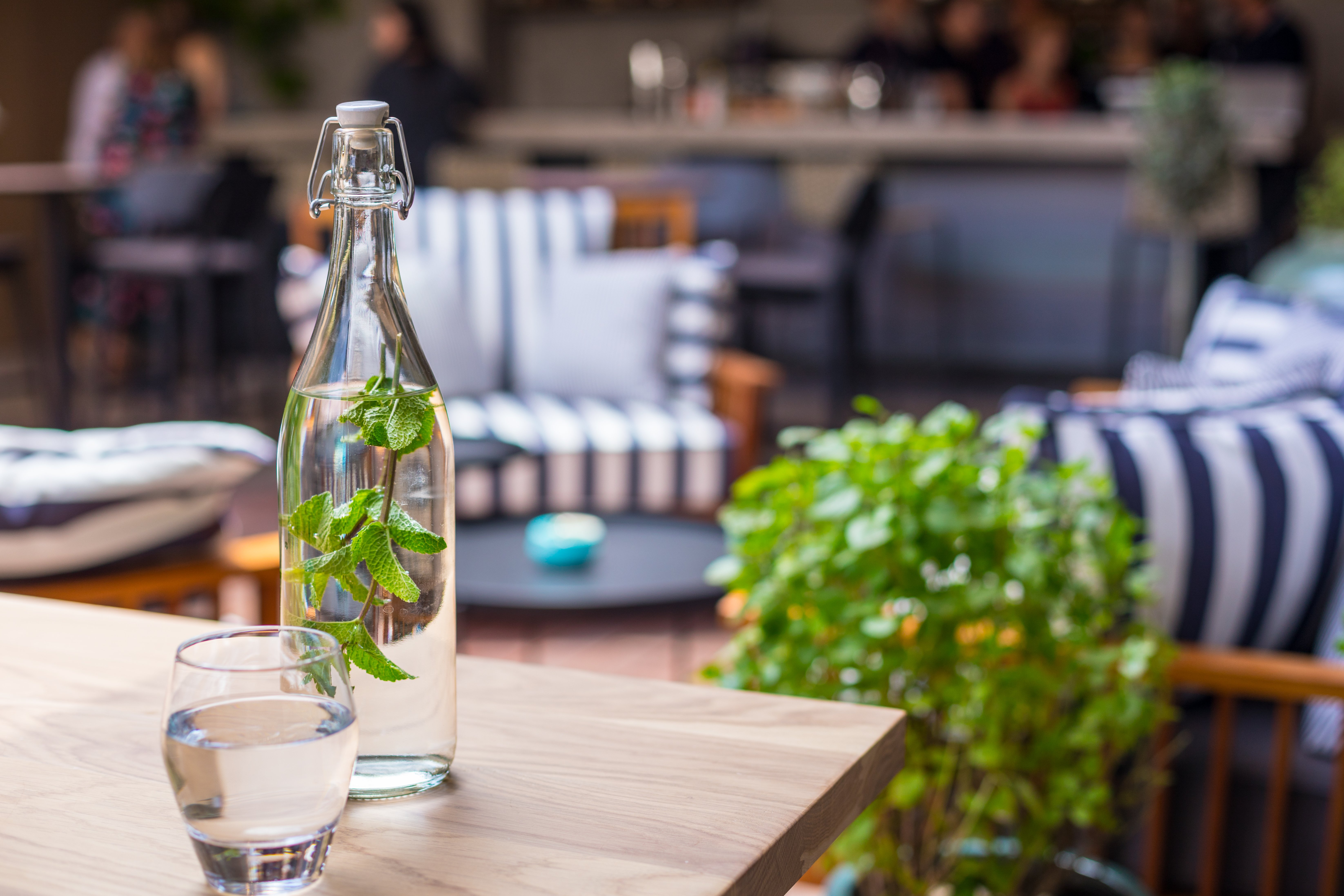 INDIGO HOTEL - Adults Only 59/82