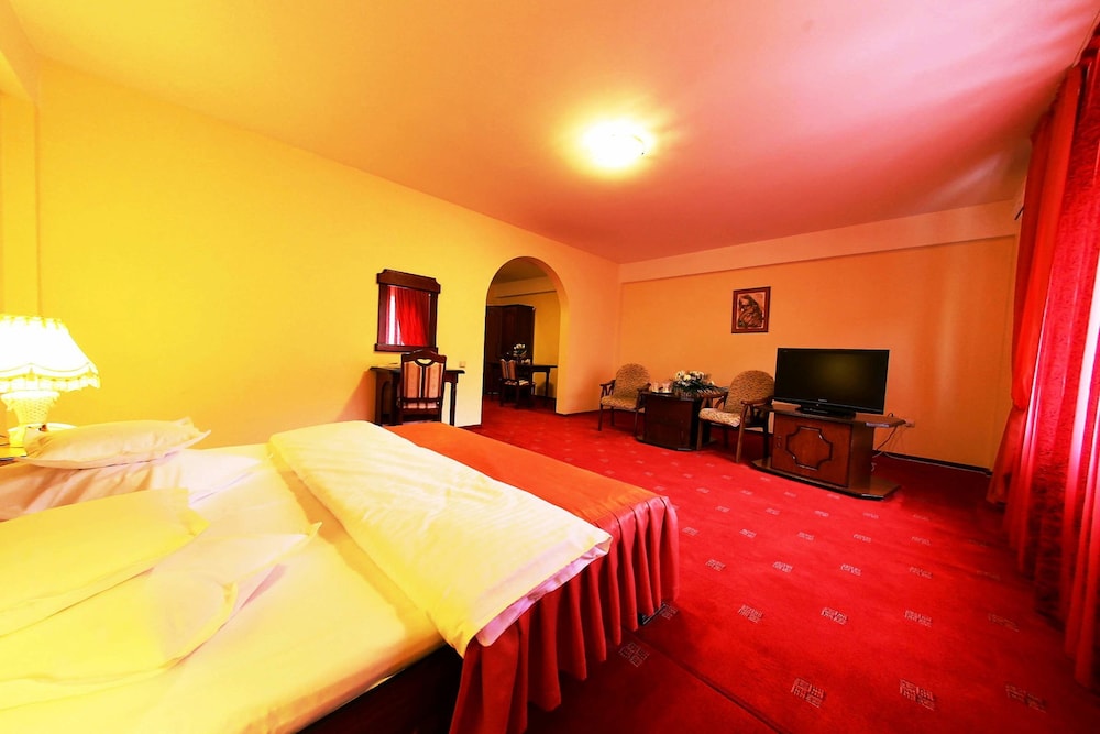Hotel Premier Cluj-Napoca 10/41