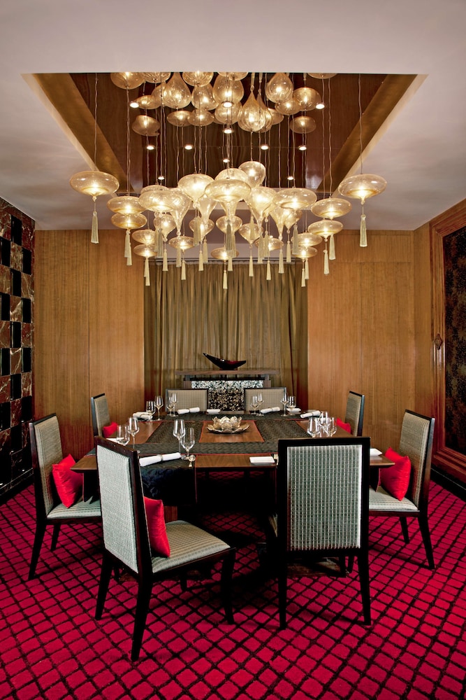 Radisson Blu Plaza Hotel Delhi Airport 63/76