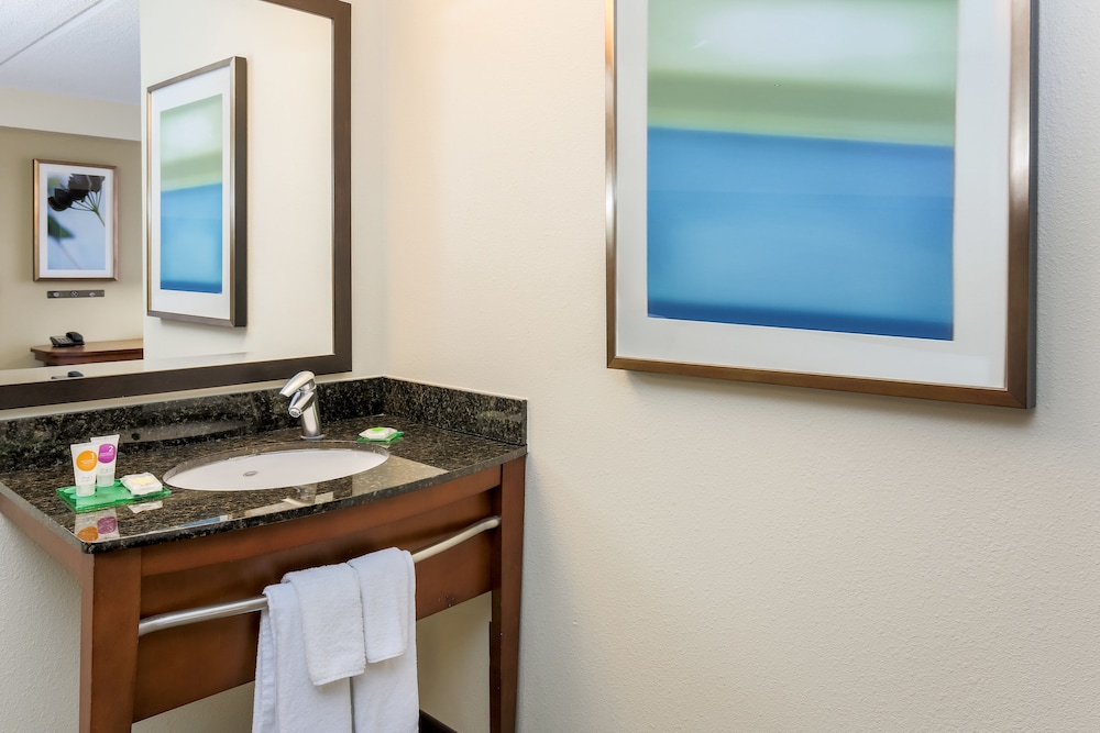 HYATT PLACE DALLAS GRAPEVINE 17/52
