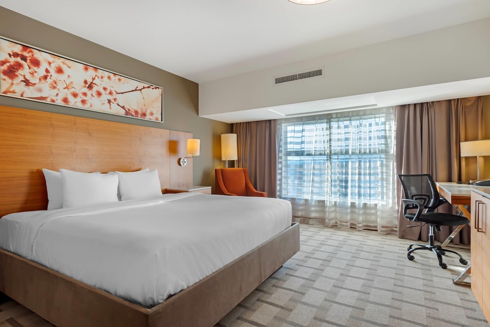 SUITE, KING BED