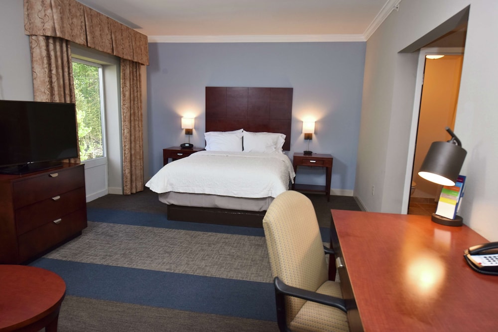 Room at Hampton Inn Alexander City, ALEXANDER CITY - AL