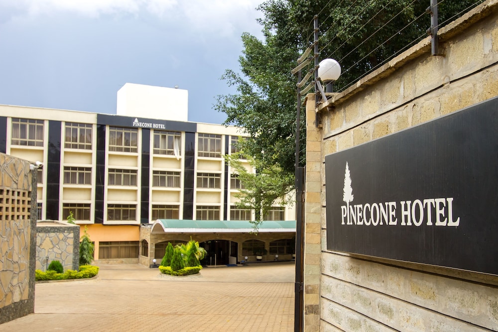 Pinecone Hotel 56/59