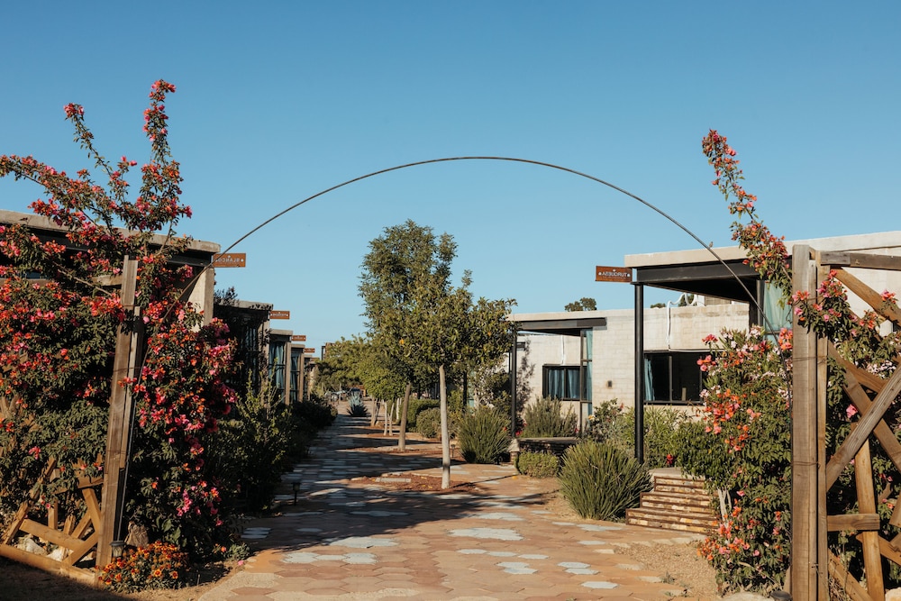 Hotel Los Amantes Valle de Guadalupe 26/35