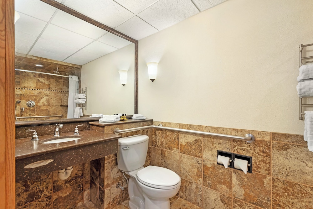 غرفة قياسية بسرير كوين لذوي الإعاقة، Best Western Plus Longbranch Hotel and Convention Center 3/4
