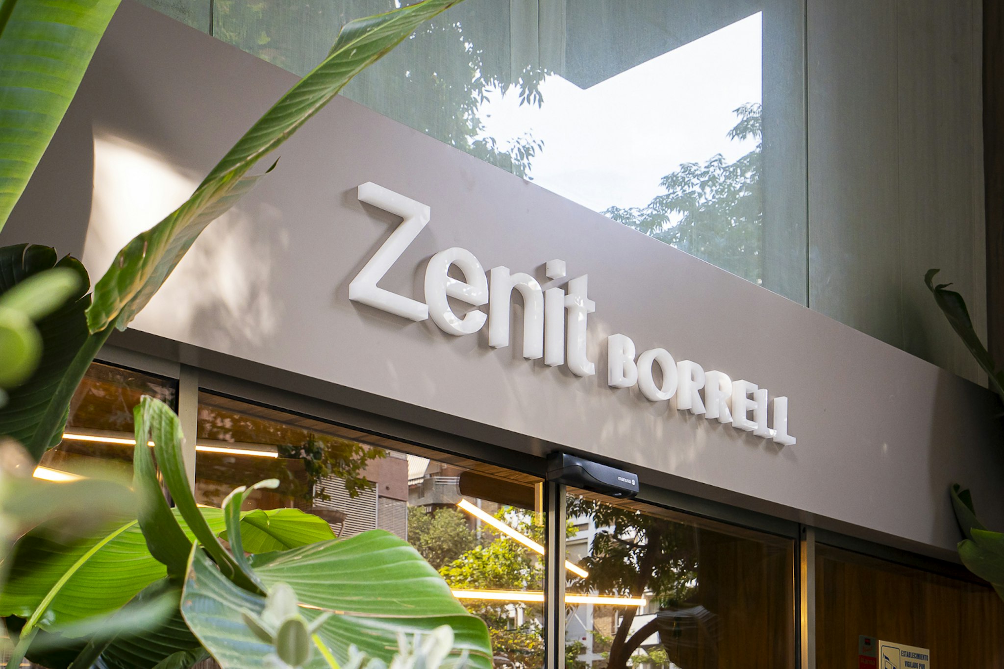 Zenit Borrell 1/69