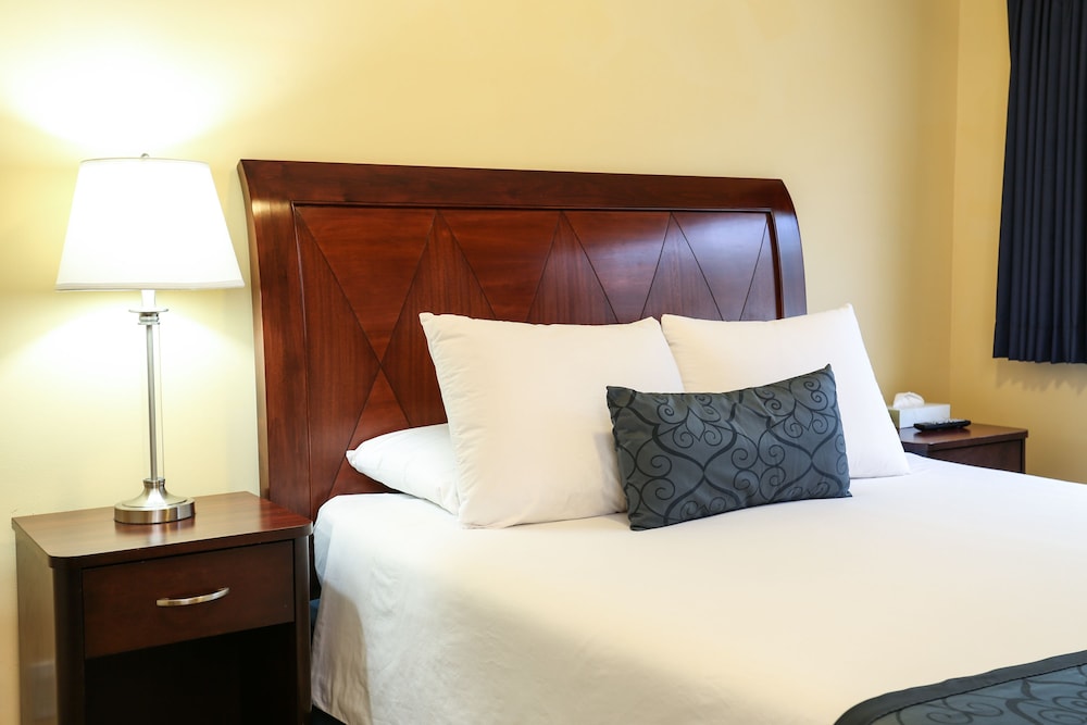 The Hotel Hollywood - Westsiderentals 45/75