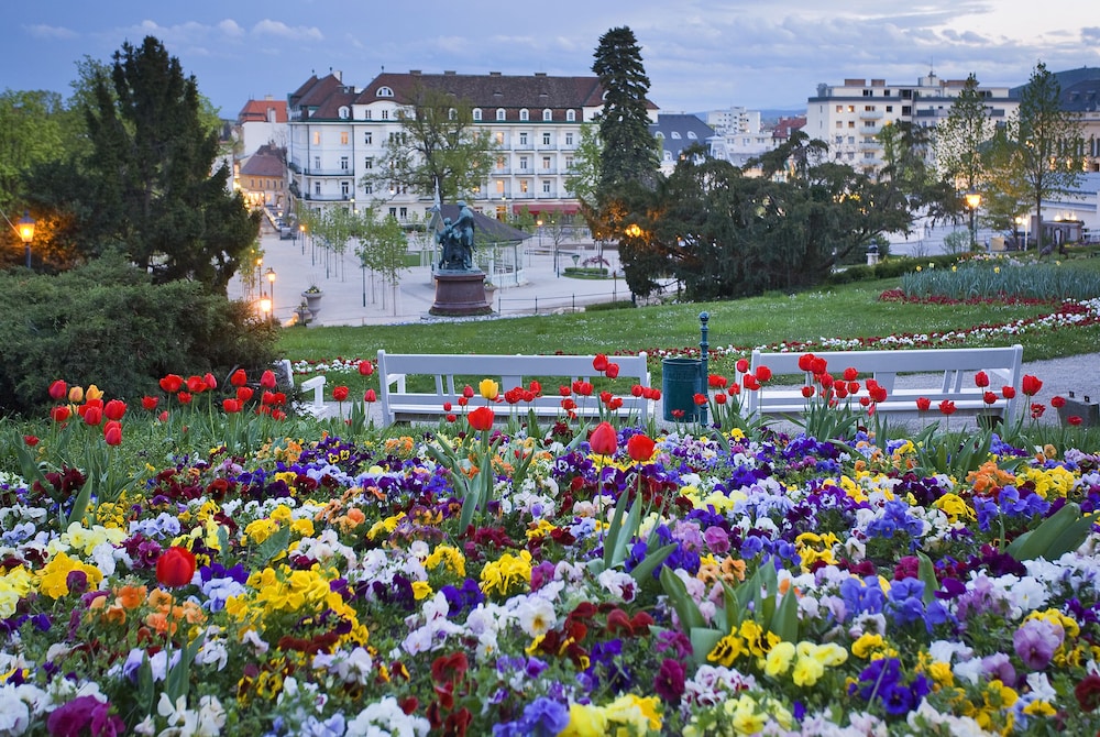 Herzoghof 25/55