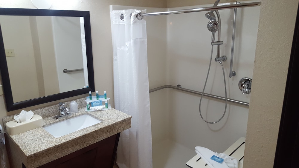 Holiday Inn Express Hotel And Suites Orange City 14/63