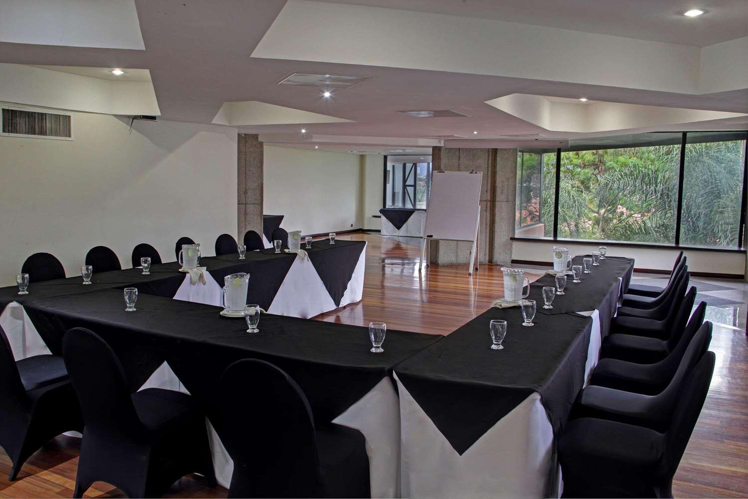 Radisson San Jose-Costa Rica 18/26