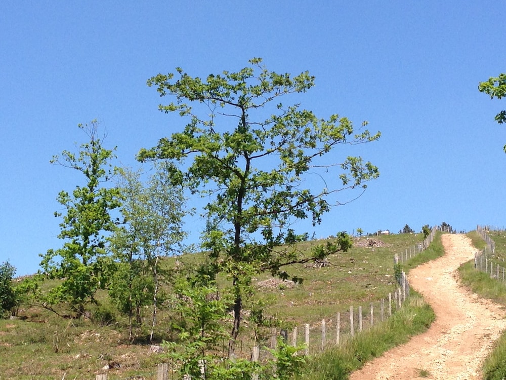 Mont-Des-Pins/Dennenheuvel 44/47