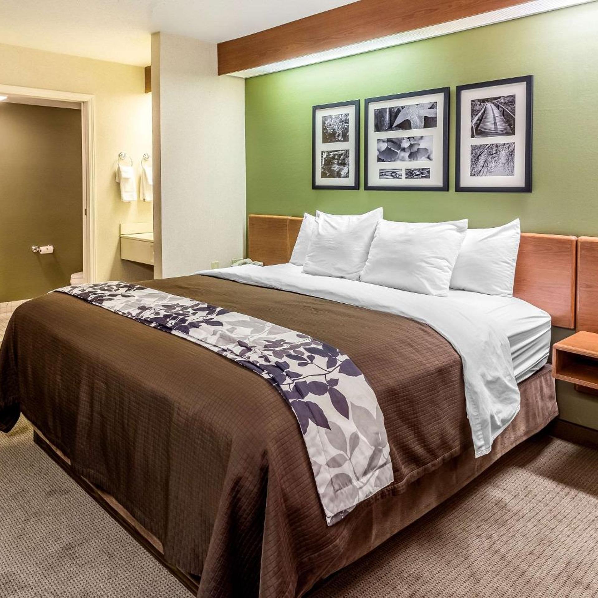Room, King Bed, Bay View
