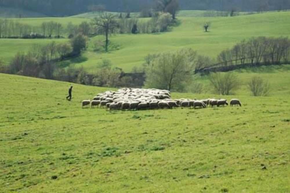 Poggio Al Vento 20/40