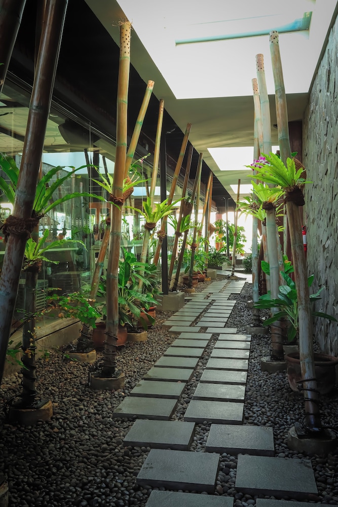 Mercure Solo 48/50