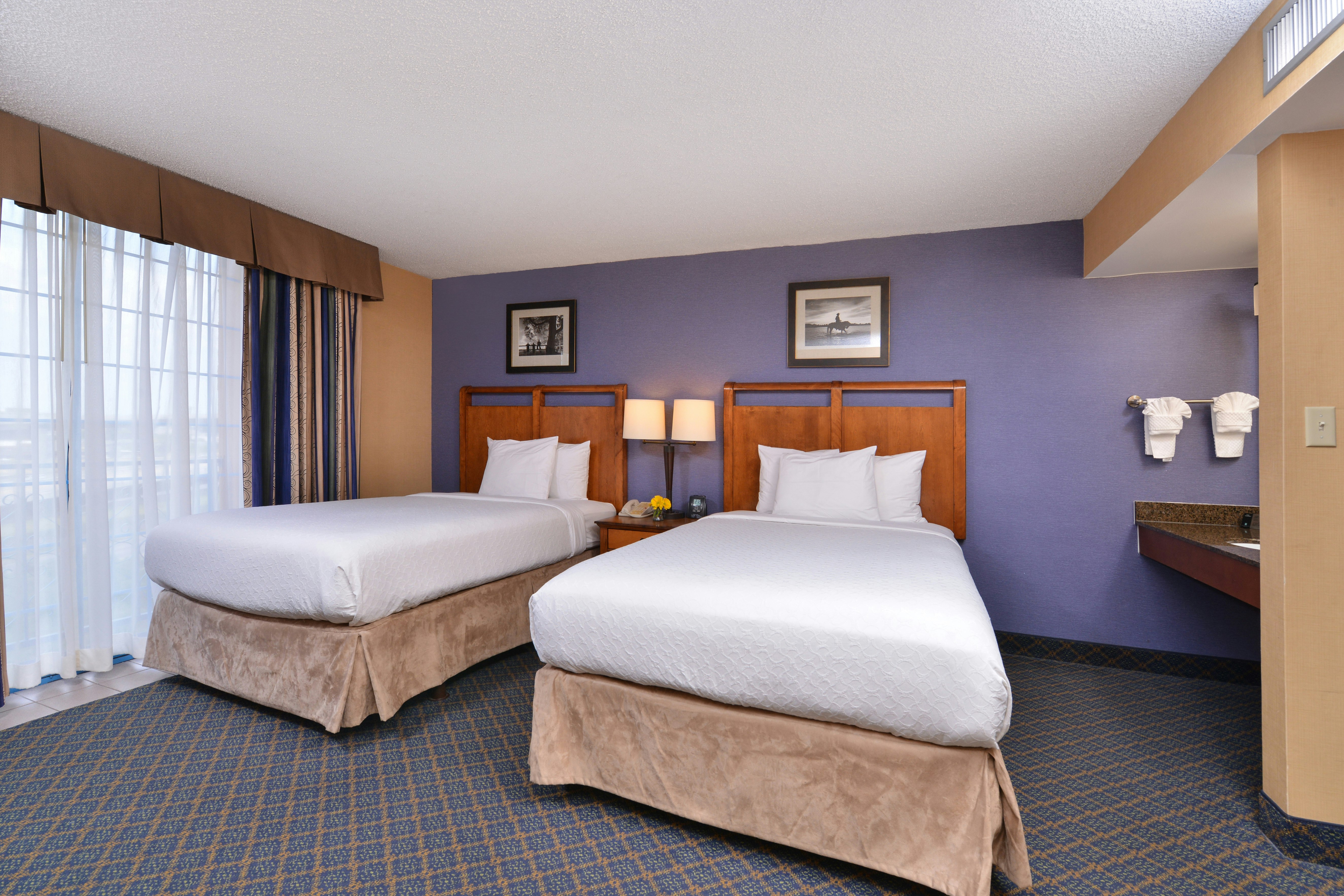 奥斯汀中央大使套房酒店(Embassy Suites Austin-Central) 图片5