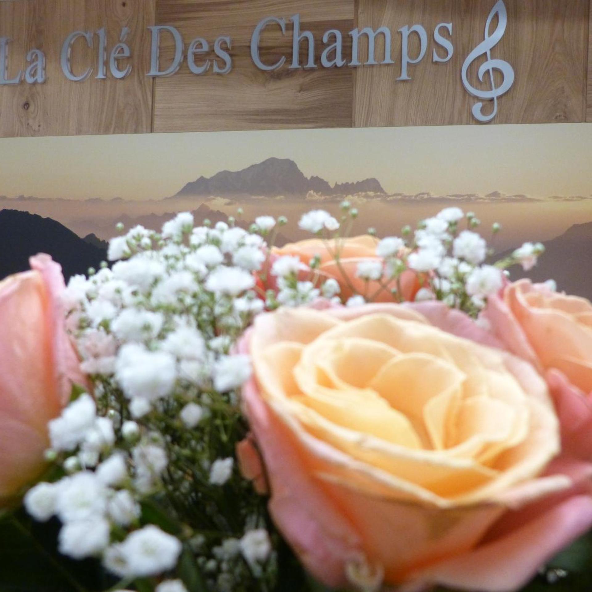 Hotel La Cle Des Champs 12/24