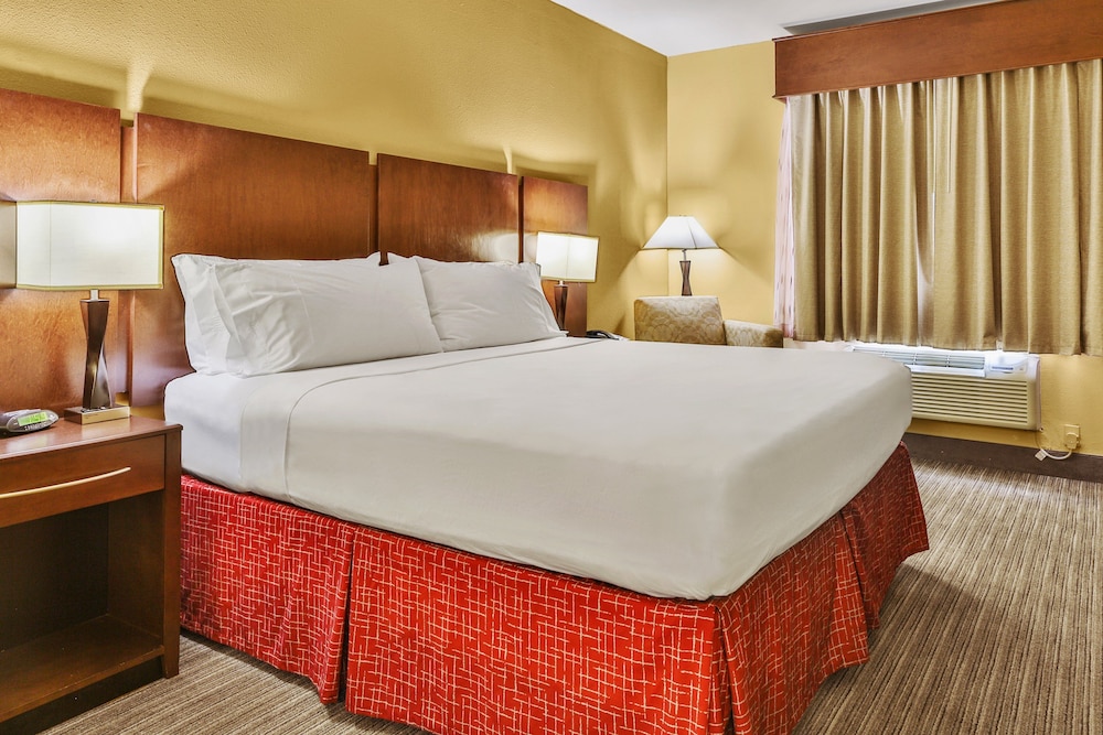 Holiday Inn Express Hotel & Suites Houston South - Pearland 15/61
